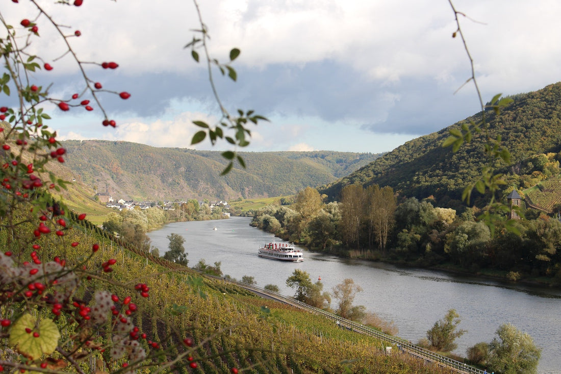 Wein Verschenken: Ein Würdiges Geschenk für Jeden Anlass