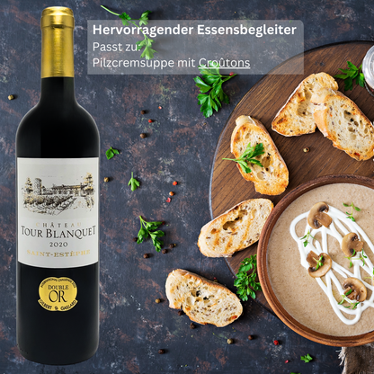 Chateau Tour Blanquet Saint-Estephe 2020